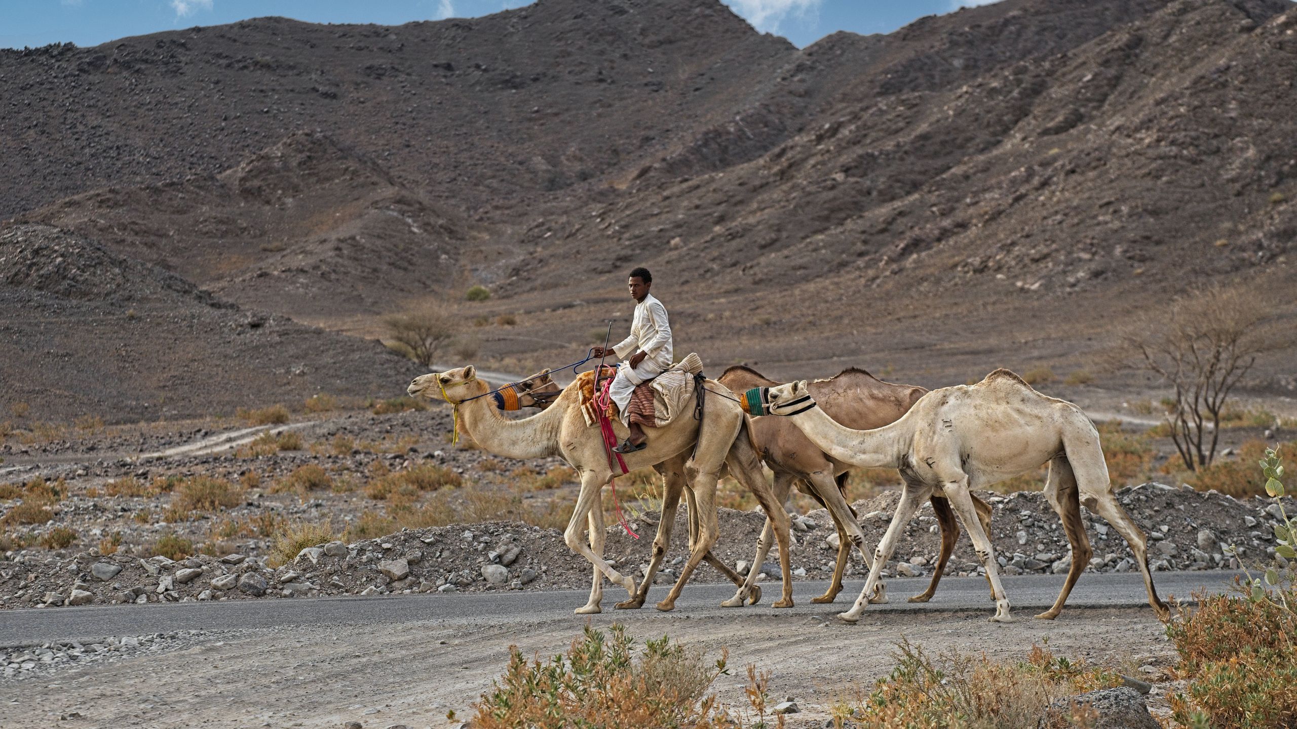 Camel Trekking in Oman: Beyond the Ride