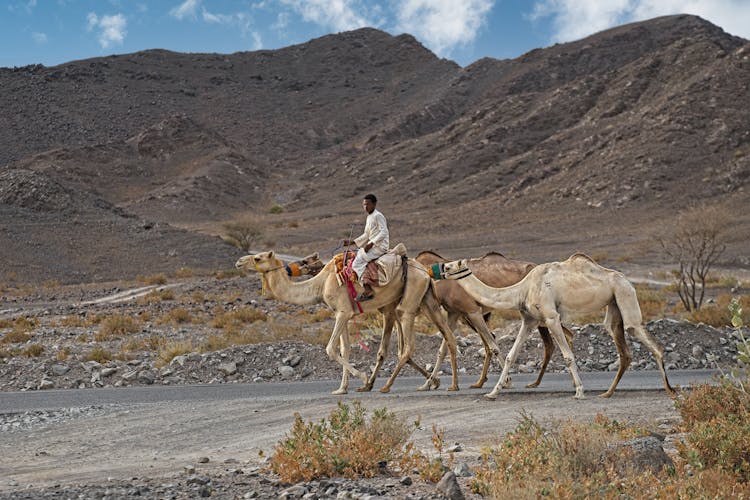 A Man Riding A Camel