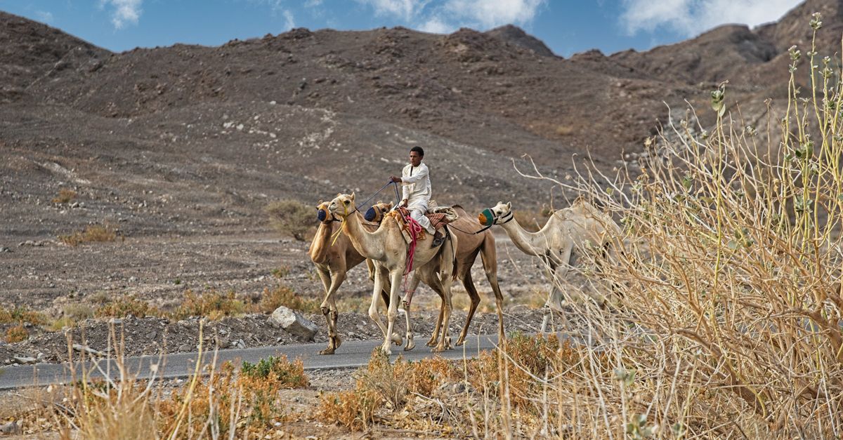 Photo of Eritrea