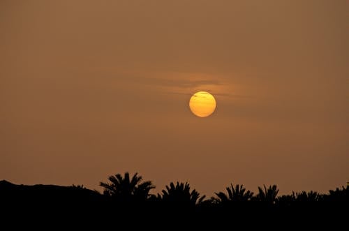 Free Orange Sun in the Sky during Sunset Stock Photo