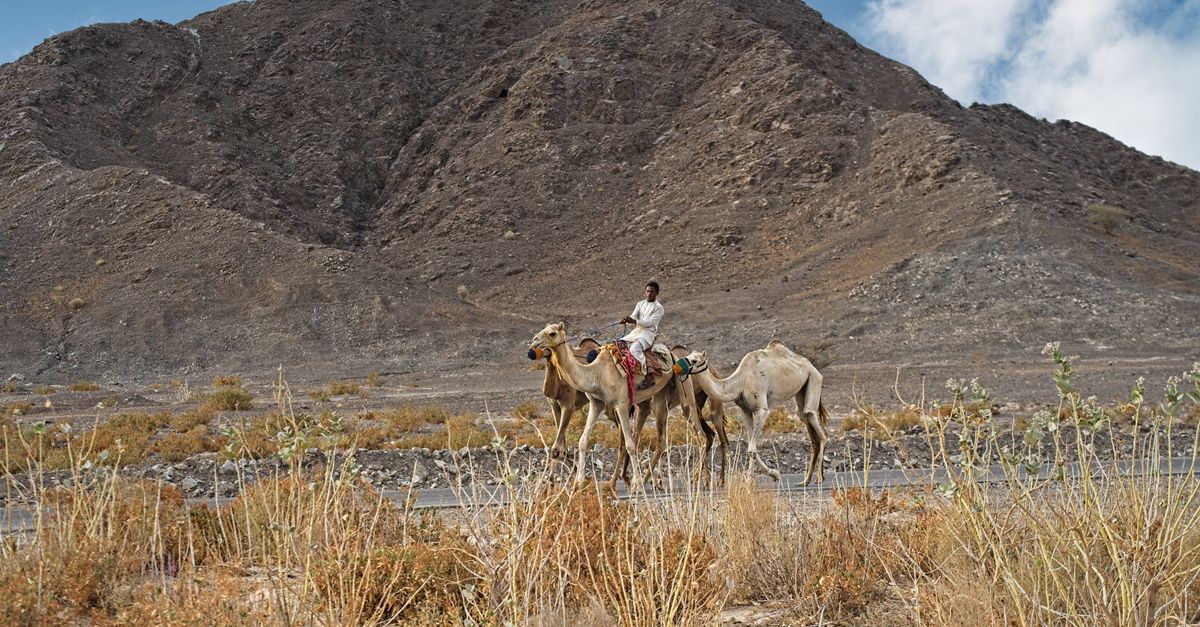 Photo of Eritrea