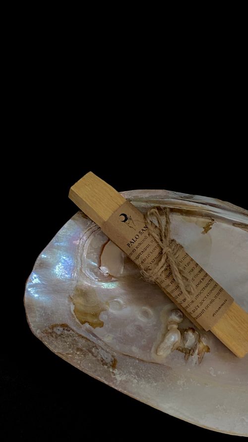 Free A calming palo santo bundle resting on a glistening mother of pearl shell, perfect for spiritual rituals. Stock Photo
