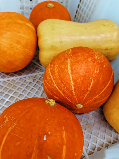 Orange Pumpkins and Yellow Butternut Squash