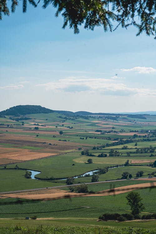 A Green Grass Field Under the Blue Sky and White Clouds