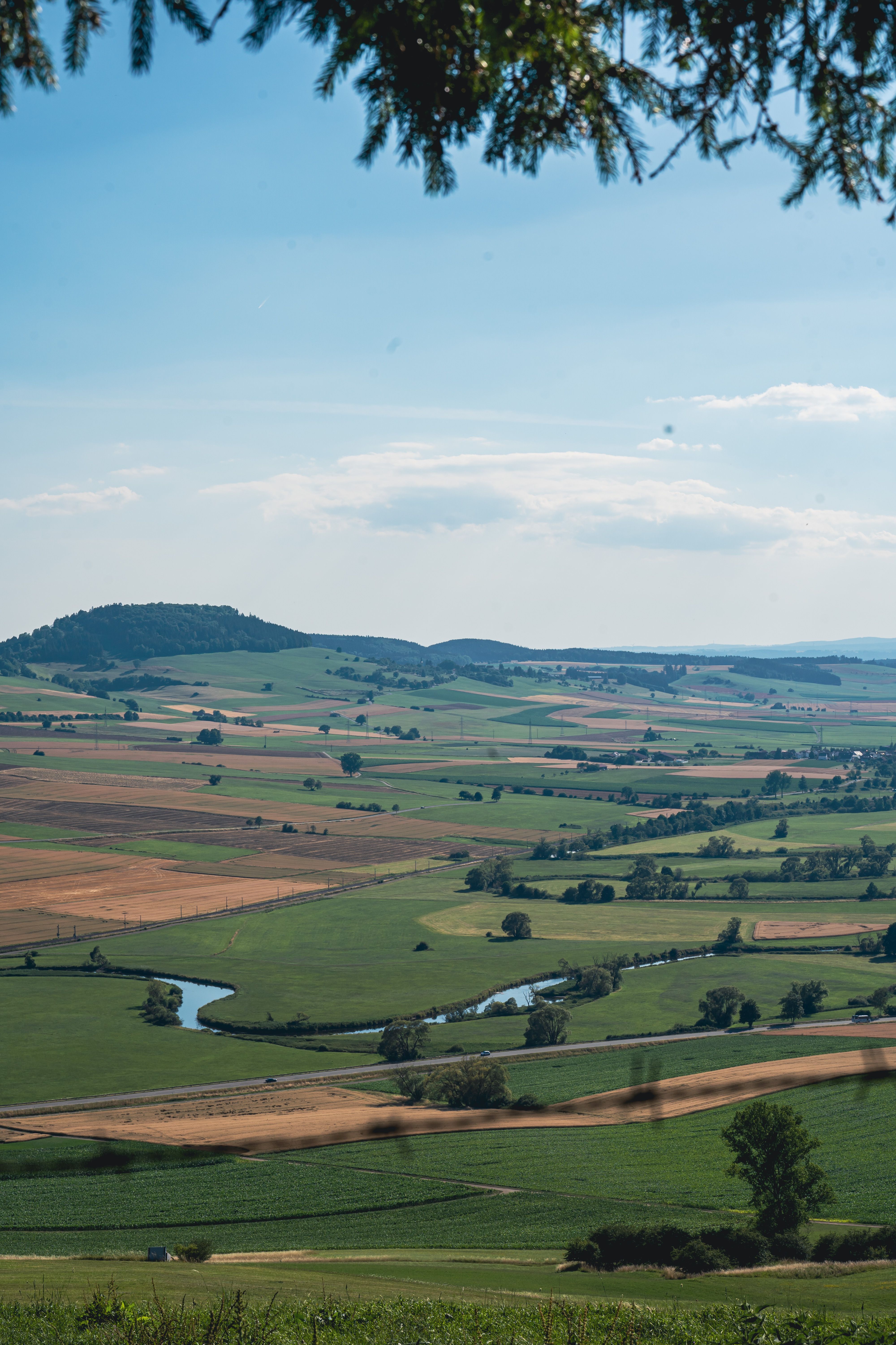 An Aerial Photography of Green Trees on Green Grass Field · Free Stock ...