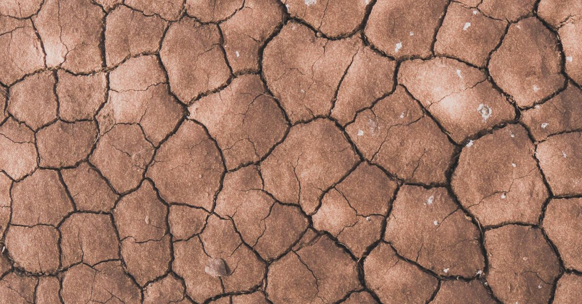 Es probable que la sequía provocada por El Niño en Panamá eleve los precios de todo, desde medicamentos hasta combustible Es probable que la sequía provocada por El Niño en Panamá eleve los precios de todo, desde medicamentos hasta combustible