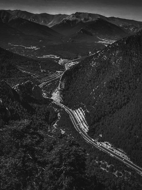 A Grayscale Photo of a Road Between Trees on Mountains