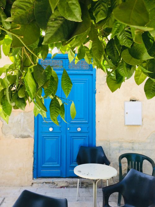 Free A vibrant blue door framed by greenery in Testour, Tunisia, showcasing Mediterranean charm. Stock Photo