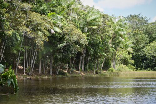 Free LAGO 1 Stock Photo