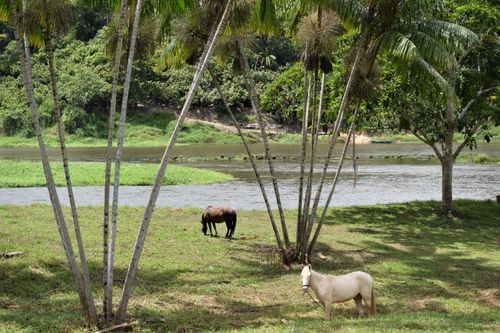 Free PAISAGEM RURAL 13 Stock Photo