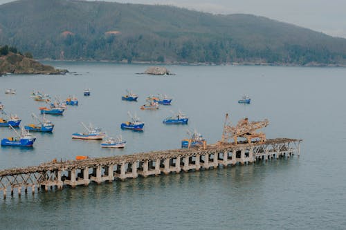 Free Fishing Boats Floating Near a Wooden Dock Stock Photo