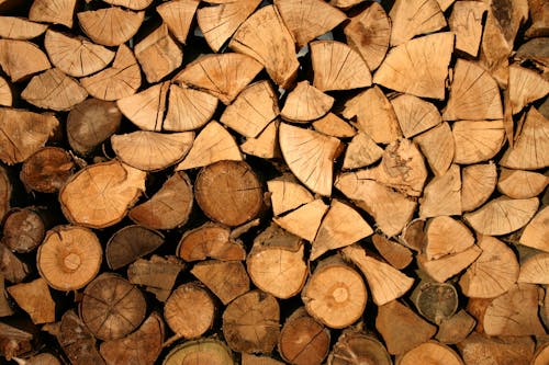 Free Brown Firewood Stock Photo