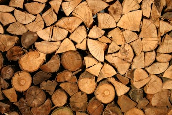 Brown Firewood