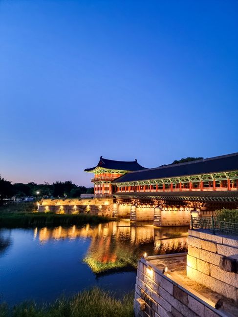 안동 월영교 야경 — 낙동강 수면에 황금빛 조명이 반사되는 경북 대표 야간관광 명소