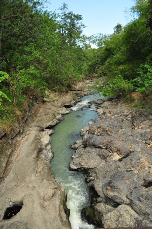 A River Between Rock Formations and Green Trees