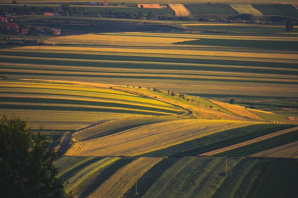 Vedere aeriană a unui teren agricol