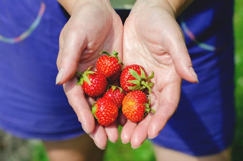 Close-Up Shot of Strawberries