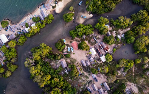 Foto d'estoc gratuïta de arbres, Costa, foto des d'un dron