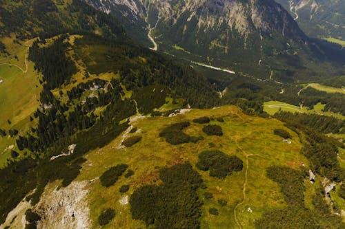 Foto d'estoc gratuïta de arbres, foto des d'un dron, fotografia aèria