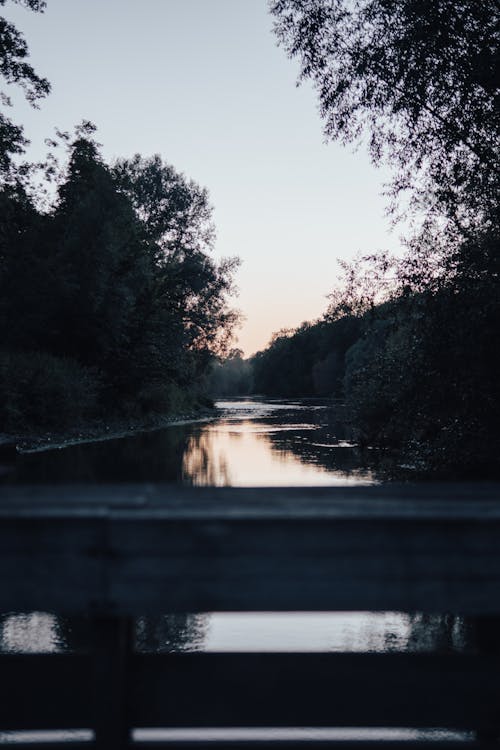 Immagine gratuita di alberi, corpo d'acqua, fiume