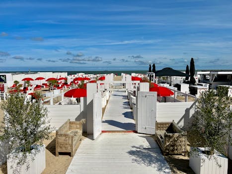 Sunny beach bar with red umbrellas and blue sky, perfect for relaxing.