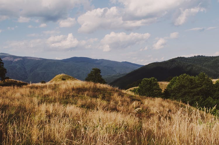 Scenic View Of Mountain Ranges 