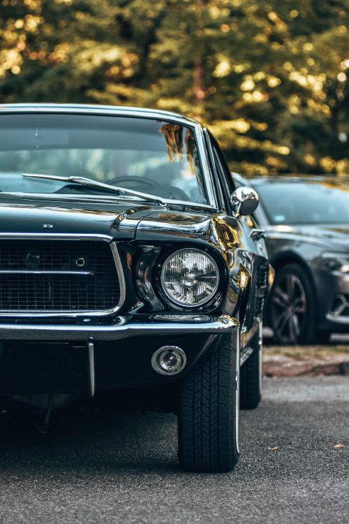 Free Front view of a vintage black Ford Mustang, parked outdoors in a leafy setting. Stock Photo