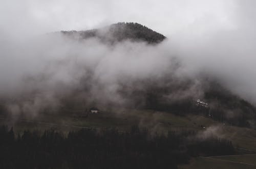 Foto d'estoc gratuïta de a l'aire lliure, amb boira, arbres