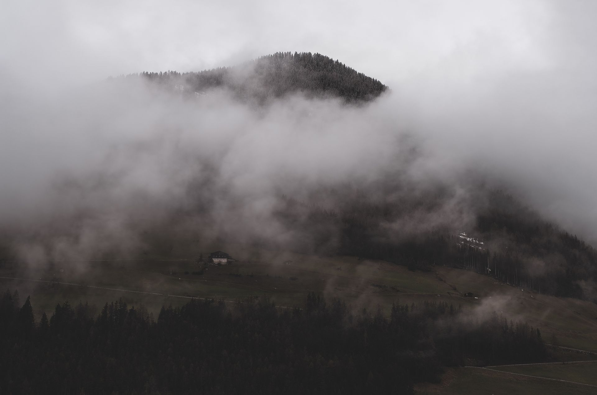 Serene misty mountain landscape with dense fog enveloping the trees, creating a dreamy ambiance.