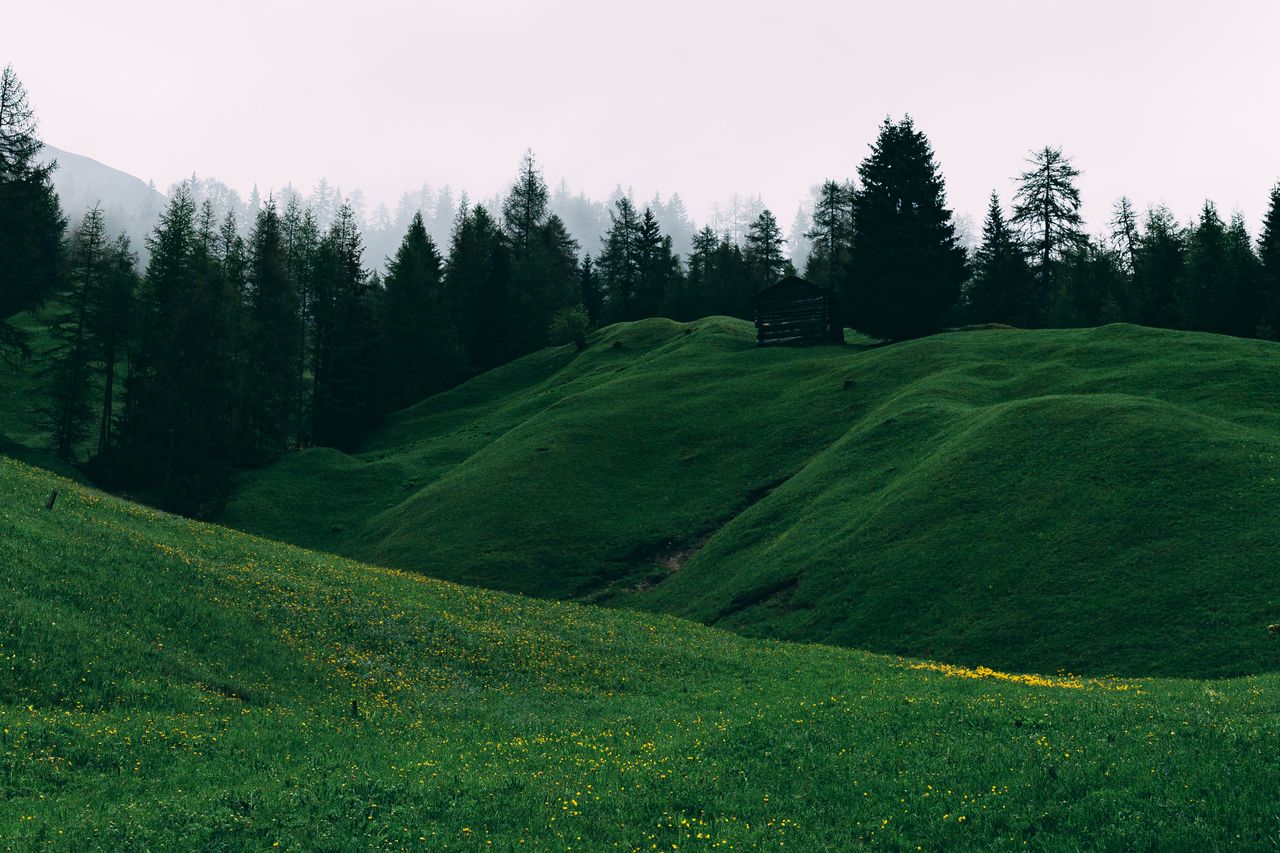 a serene landscape of vibrant green hills with a lone cabin amidst tal