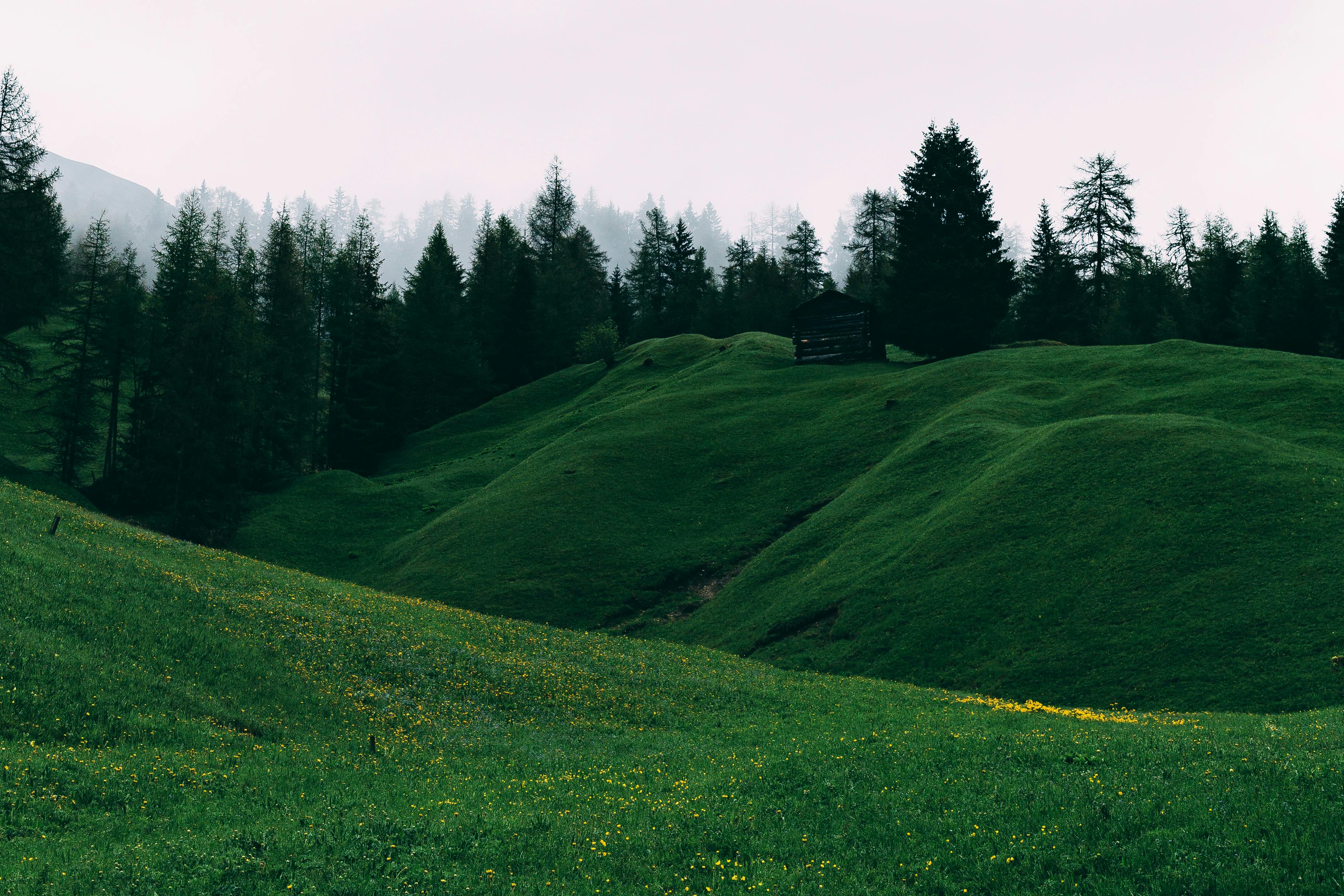 80,000+ Best Desktop Wallpaper Photos · 100% Free Download · Pexels Stock  Photos