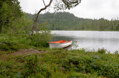 A Boat by a Lakeside
