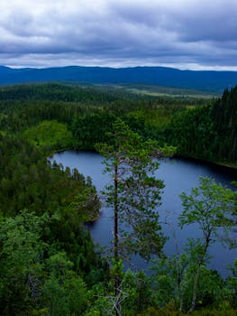 Stunning aerial view of a serene lake surrounded by lush green trees and distant mountains.