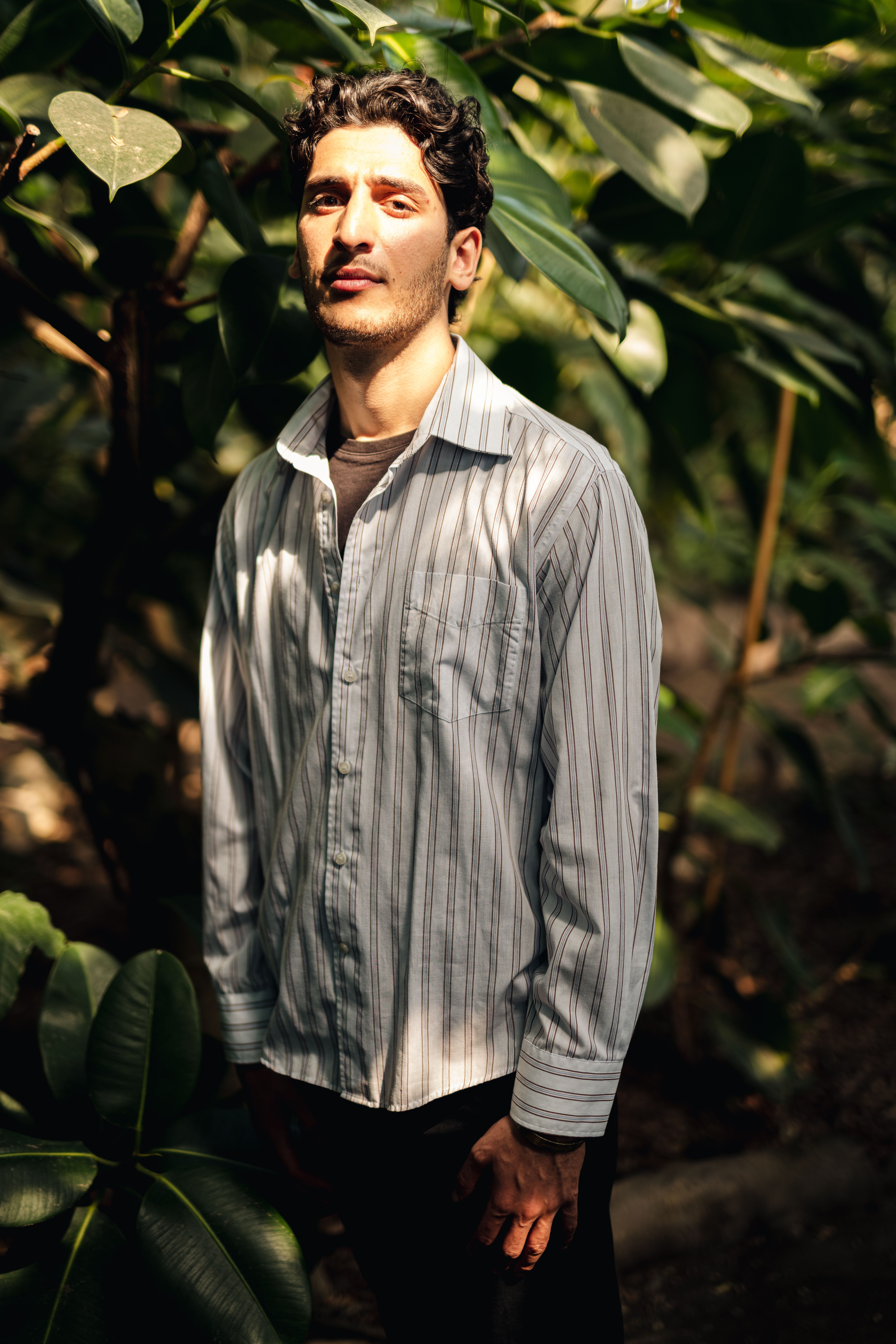 A man in a striped shirt stands among lush green leaves, bathed in natural light.
