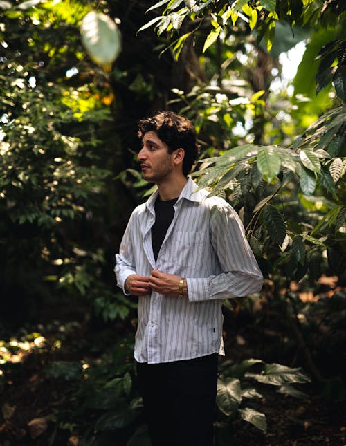 A Man in Striped Long Sleeves Standing Near the Green Tree