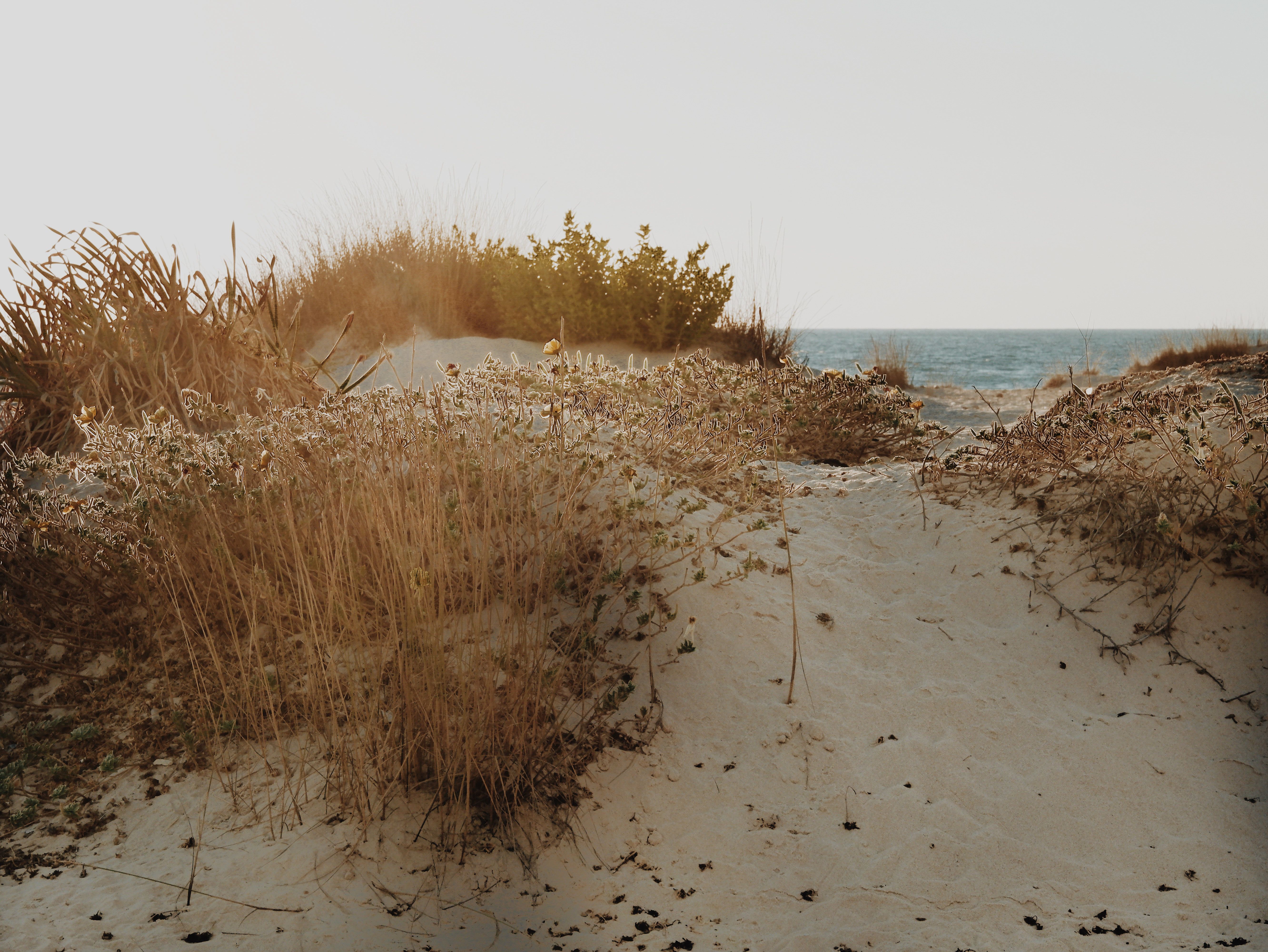Rustig zandstrand met duinen in de verte