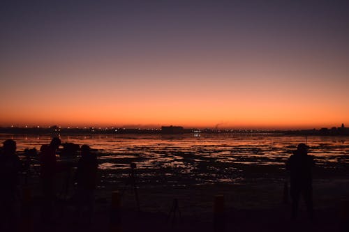 Free stock photo of backlit, beach, dawn