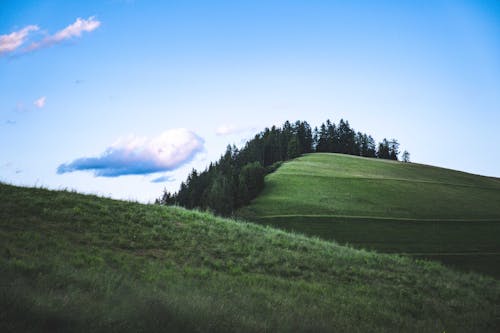 Free Lush green hills with trees under a vibrant blue sky and fluffy clouds. Stock Photo