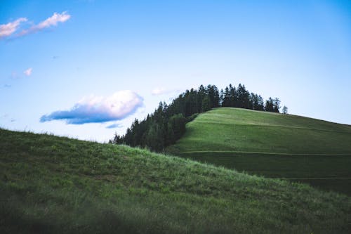 Kostenloses Stock Foto zu blauer himmel, feld, grüne bäume