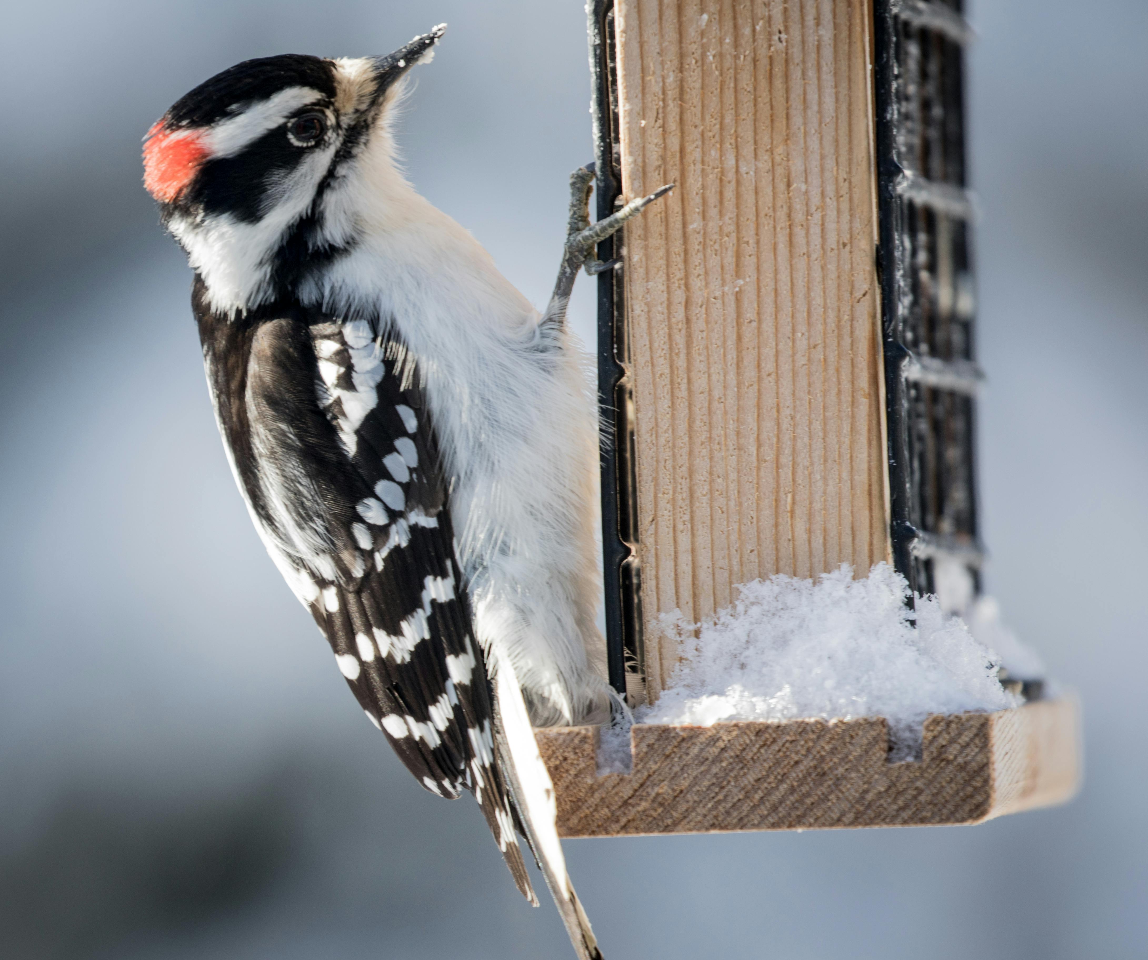 Biển quảng cáo SALE OFF với nhiều màu sắc