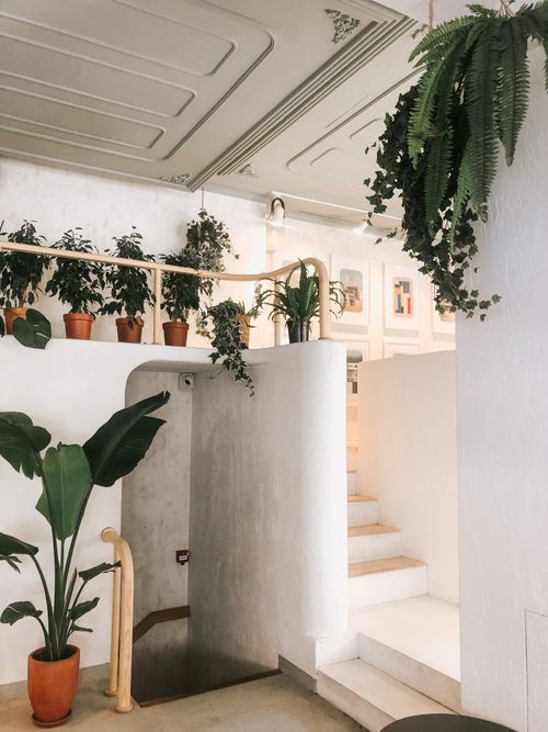 Free A stylish indoor setting with lush green plants and a graceful staircase. Stock Photo