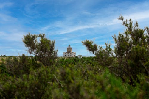 Tabarca Lighthouse behind Trees