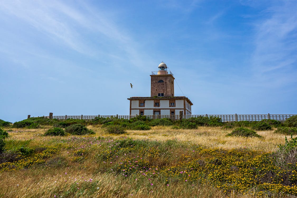 Foto de stock gratuita sobre alicante, españa, faro, faro de tabarca