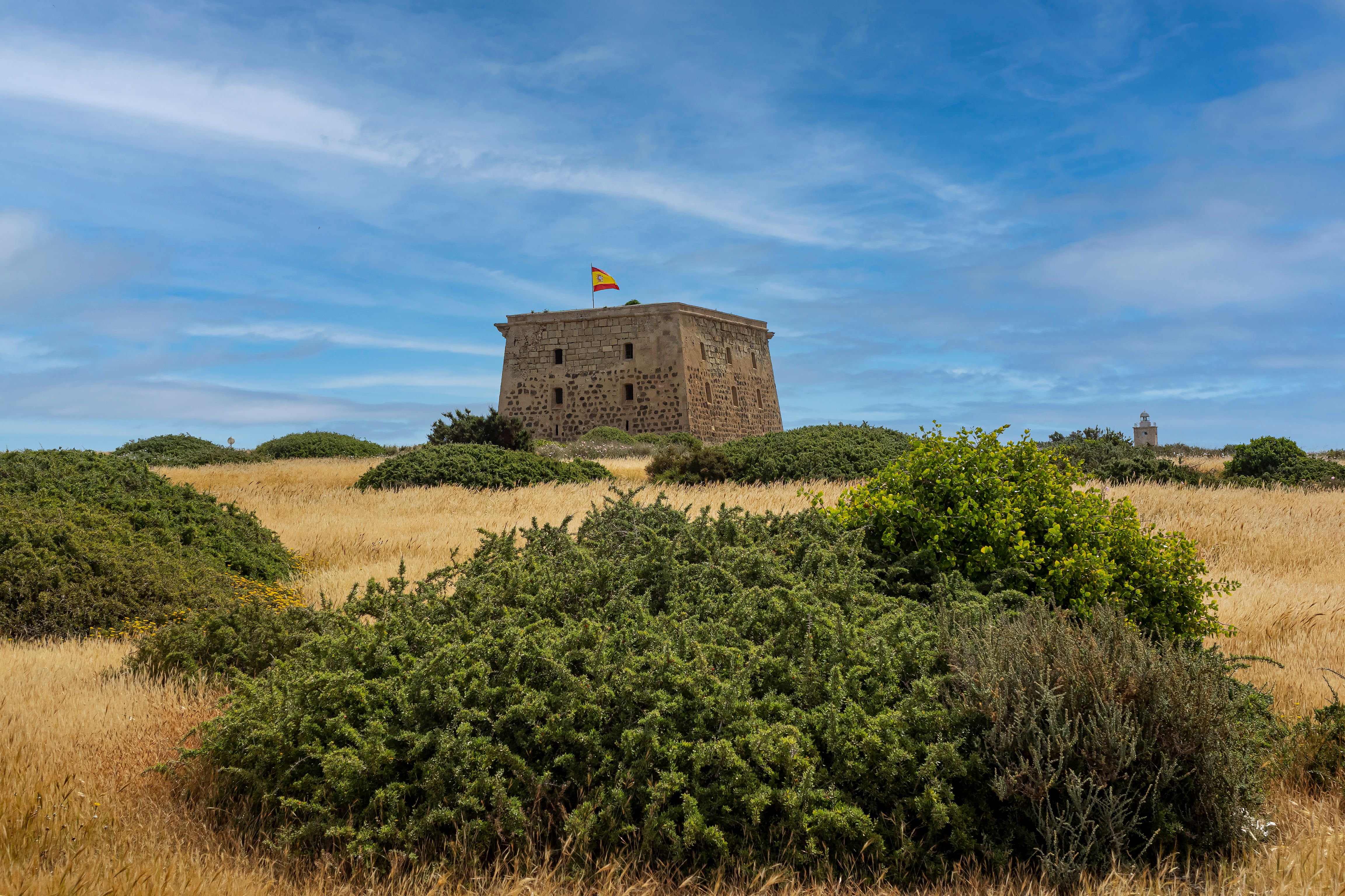 Explore the scenic landscape of Tabarca Island, featuring its historic tower and lush vegetation.