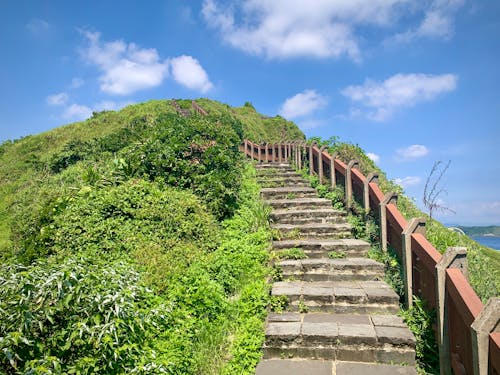 A Concrete Stairs Near the Green Grass Field Under the Blue Sky and White Clouds