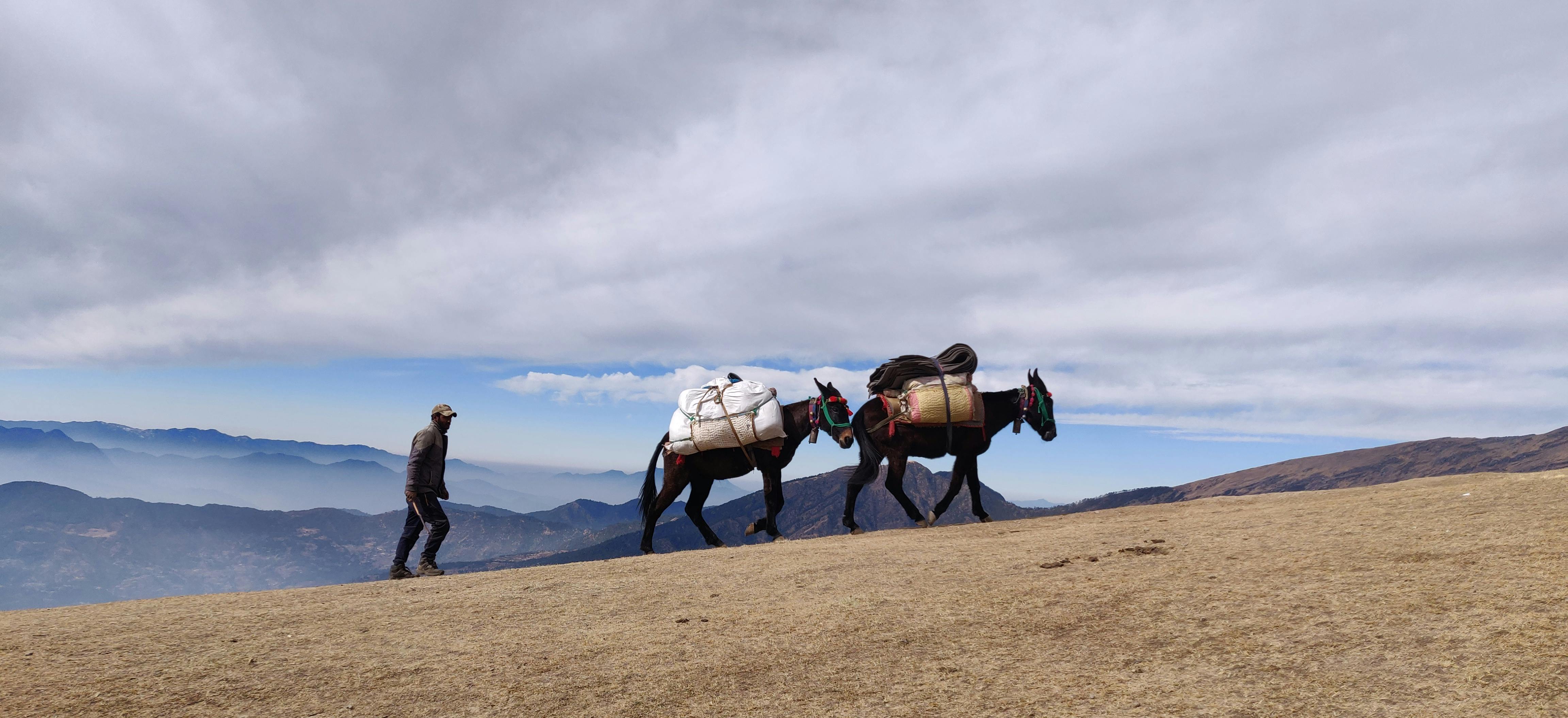 Man leading pack mules on a mountainous terrain under dramatic skies, showcasing travel and adventure.
