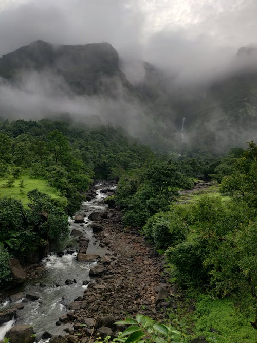 A River Between Green Trees Near the Foggy Mountain