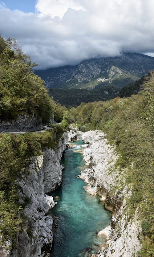 An Aerial Photography of a River Between Green Trees on Mountains