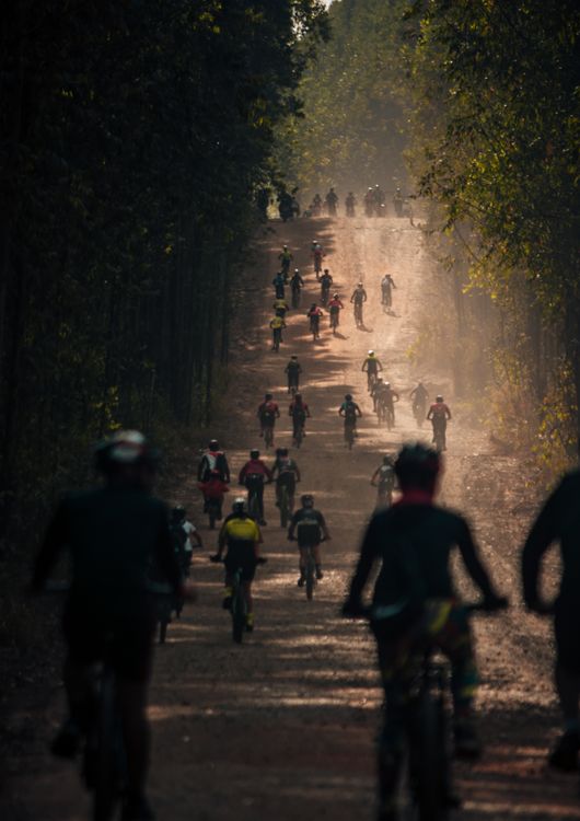 Free Cyclists compete on a scenic dirt trail in a forested area, Agudos, Brazil. Stock Photo
