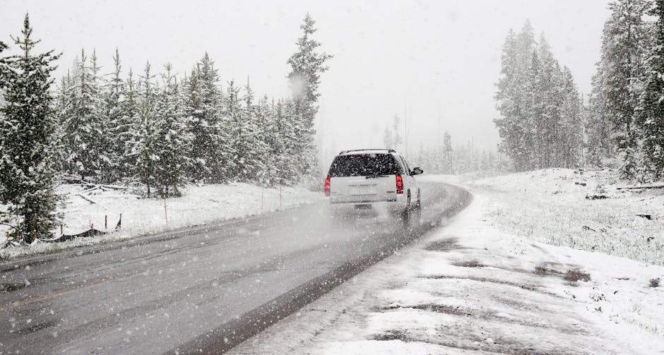 White Suv on Road Near Snow Covered Trees